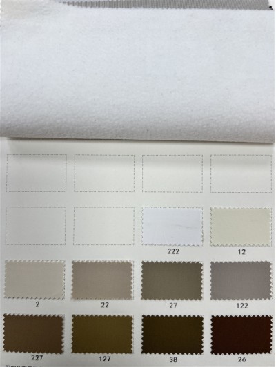 GZ-JT 66005-5#  成分：表面100%T  幅寬：142±2.5cm   透明膜  克重：120g/㎡ 後面照